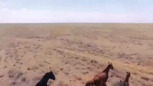 Мчится конь подо мной!