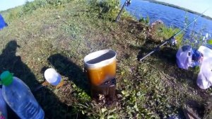 Рыбалка на Оби Барнаул, рыбалка с ночёвкой на канале RU КОМПАС #ru_kompass #рыбалка #фидер