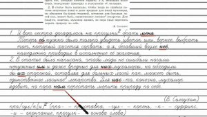 Упражнение №113 — Гдз по русскому языку 5 класс (Ладыженская) 2019 часть 1