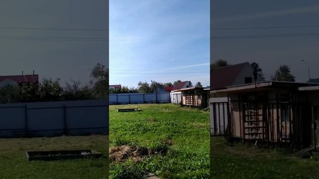 2020 БОЙНЫЕ ГОЛУБИ ТАКЛА ПОДБОРКА ПОСАДКУ смотреть онлайн