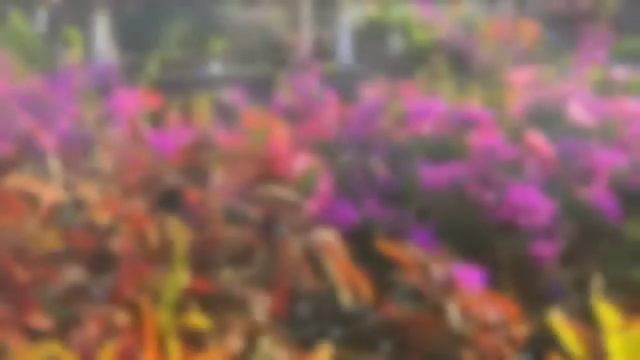 Ardaas Bhai - Sueño en Bali смотреть онлайн