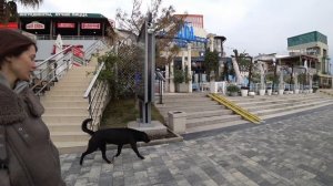 Привет Сочи.  часть восьмая. #Сочи