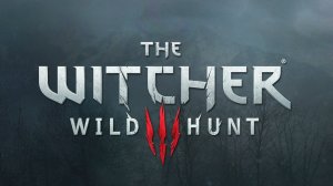 Ведьмак 3 прохождение The Witcher 3 Дикая охота часть #24.1