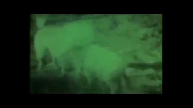 Опасные животные. Дикие животные. Лев спасает детеныша носорога смотреть онлайн