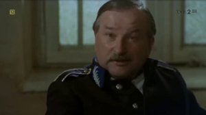 Знахарь. (Польша. 1982 год.)