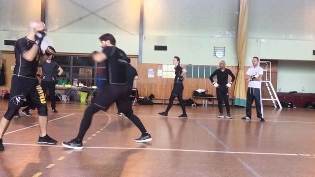 Panantukan Seminar in Franconville 2017 - Excerpts смотреть онлайн