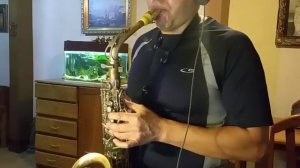 Saxophone Alto Amati