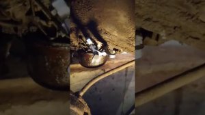 Как снять звезду коленвала на 8кл. моторе ваз 2113, 2114, 2115