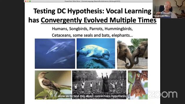 Tecumseh Fitch - How to study language evolution: Beyond "evolutionarios" (ELLE 2022) смотреть онлайн