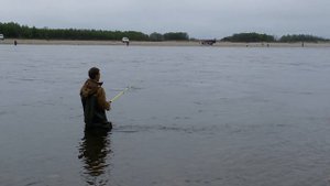 Ловля горбуши в Магадане.