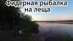 Фидерная рыбалка на леща