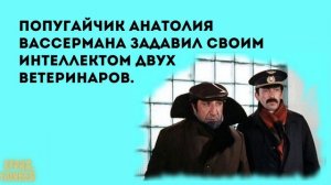 Анекдоты в картинках #361 от КУРАЖ БОМБЕЙ: попугайчик Вассермана, коты с лесоповала и меловой период