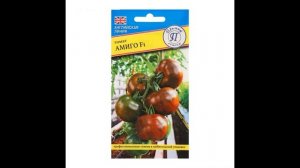 Самый лучший томат в мире 2023 г.!!! Высокоурожайный,сладкий и вкусный томат АМИГО!! СУПЕР!!!