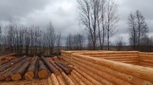 Строительство срубов.