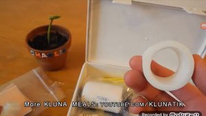 КАК ОНА ЭТО ДЕЛАЕТ . СМОТРЮ КЛУНАТИКА . ЕСТ ПЧЕЛУ,СТИВА,АПТЕЧКУ