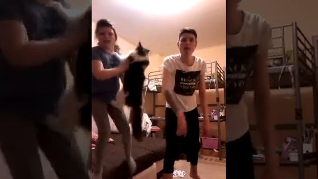 4 марта 2016 г. смотреть онлайн