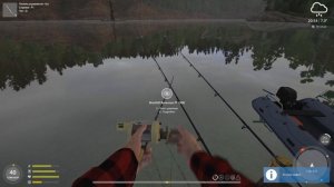 Русская рыбалка 4 Палия обыкновенная  оз Куори. Russian fishing 4