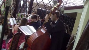 оркестр классической музыки Пахельбель Канон флейты, скрипки, контрабас