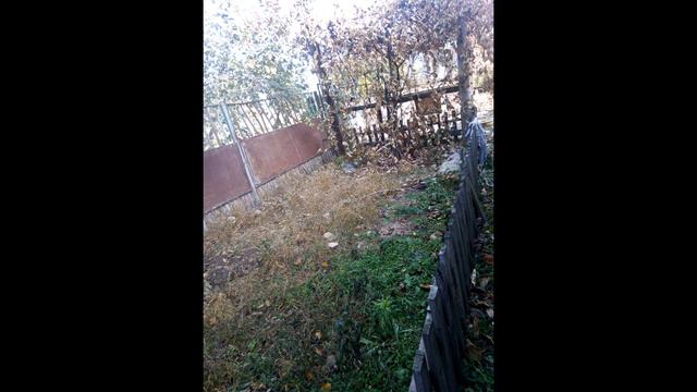 Осень в деревне смотреть онлайн