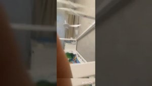 потолочный вентилятор пробуем снимать по одной лопасти