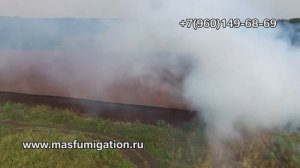 Фумигация склада с зерном