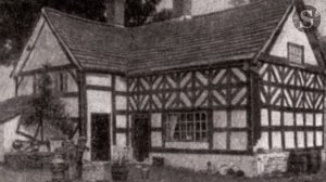 История на ночь – Карлик Нос (легенда)