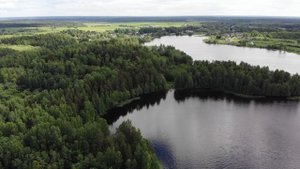 Озеро Молдино с высоты птичьего полета 2020. Лето COVID-19 (3 из 3)