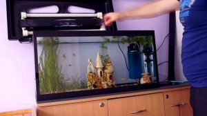 Как правильно, легко и быстро обслуживать и ухаживать за простым домашним аквариумом