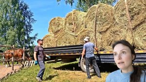 ОН ПРИЕХАЛ И ЗАВАЛИЛ ВЕСЬ ДВОР СЕНОМ. ОНА СНОВА МЕНЯ ПОДВЕЛА. ЖИЗНЬ ПРОСТЫХ ЛЮДЕЙ В ДЕРЕВНЕ