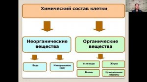 Химический состав клетки   5 класс