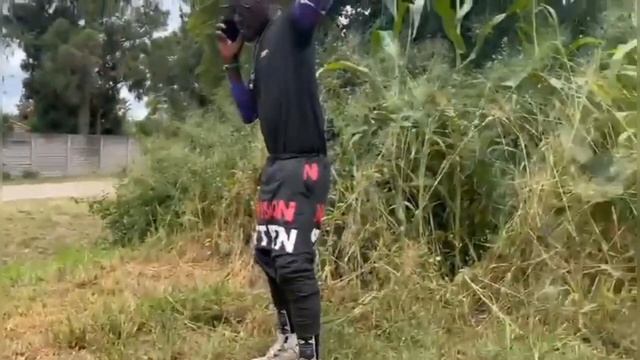 passion java latest. and snake undergrass смотреть онлайн