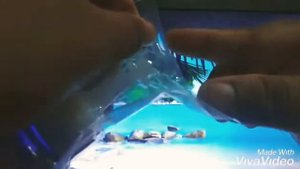 Unboxing an Epson 664 Ink