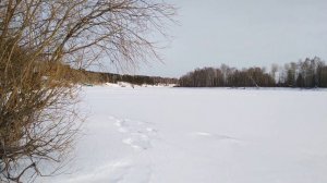 Ирбис Тунгус 500