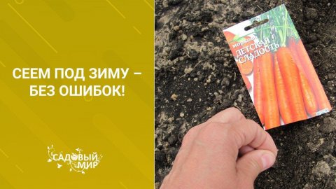 Сеем под зиму – без ошибок!