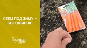 Сеем под зиму – без ошибок!