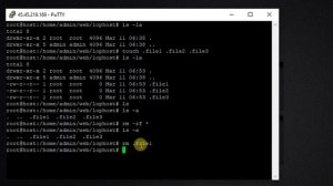 Delete Hidden Files on Linux Server