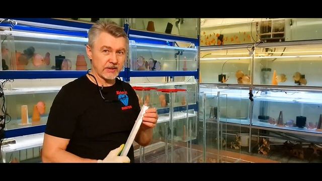 ДИСКУСЫ, Как я это делаю САМП №4, DISCUS, How I Do It, Samp part №4 смотреть онлайн