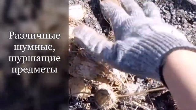 Как сделать чучело. Простой и забавный вариант смотреть онлайн