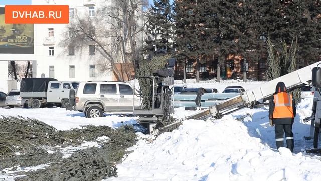 На площади Ленина ставят огромную елку смотреть онлайн