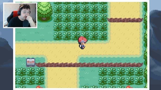 POKEMON FIRE RED + DIAMOND & PEARL GRAPHICS! (Pokemon Fan Game Showcase)