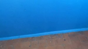 (036.2/1) Нововоронеж! Лифт BTL 2020 г. 400 кг. / Набережная 34, подъезд 1