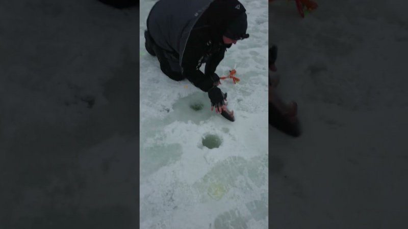 И такое бывает!