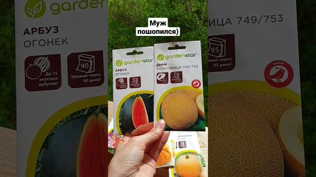 Это Просто Смешно!? #огород #садогород # #ленинградскаяобласть #юмор #огороднабалконе
