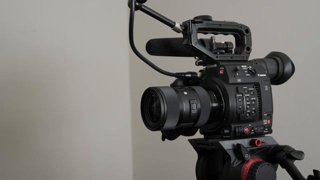 Best Sellers 003: Vello Universal White Balance Handheld Disc смотреть онлайн