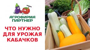 ЧТО НУЖНО ДЛЯ УРОЖАЯ КАБАЧКОВ