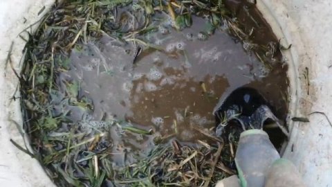 Натуральные удобрения!