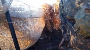 Охота на Гуся в Кировской области 2023 1 часть