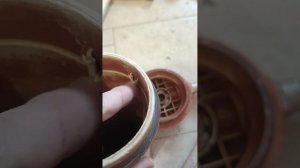 Магистральный фильтр для горячей воды Гейзер 1Г.