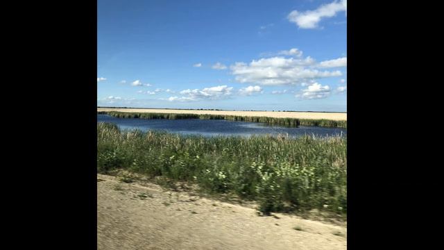 Summer смотреть онлайн