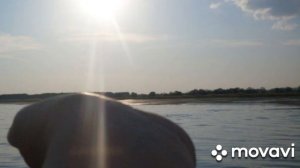 Кулундинское озеро-жемчужина Алтая/